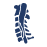 expert spine consultant Surat