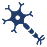 expert spine consultant Surat