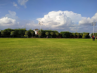 Lawn