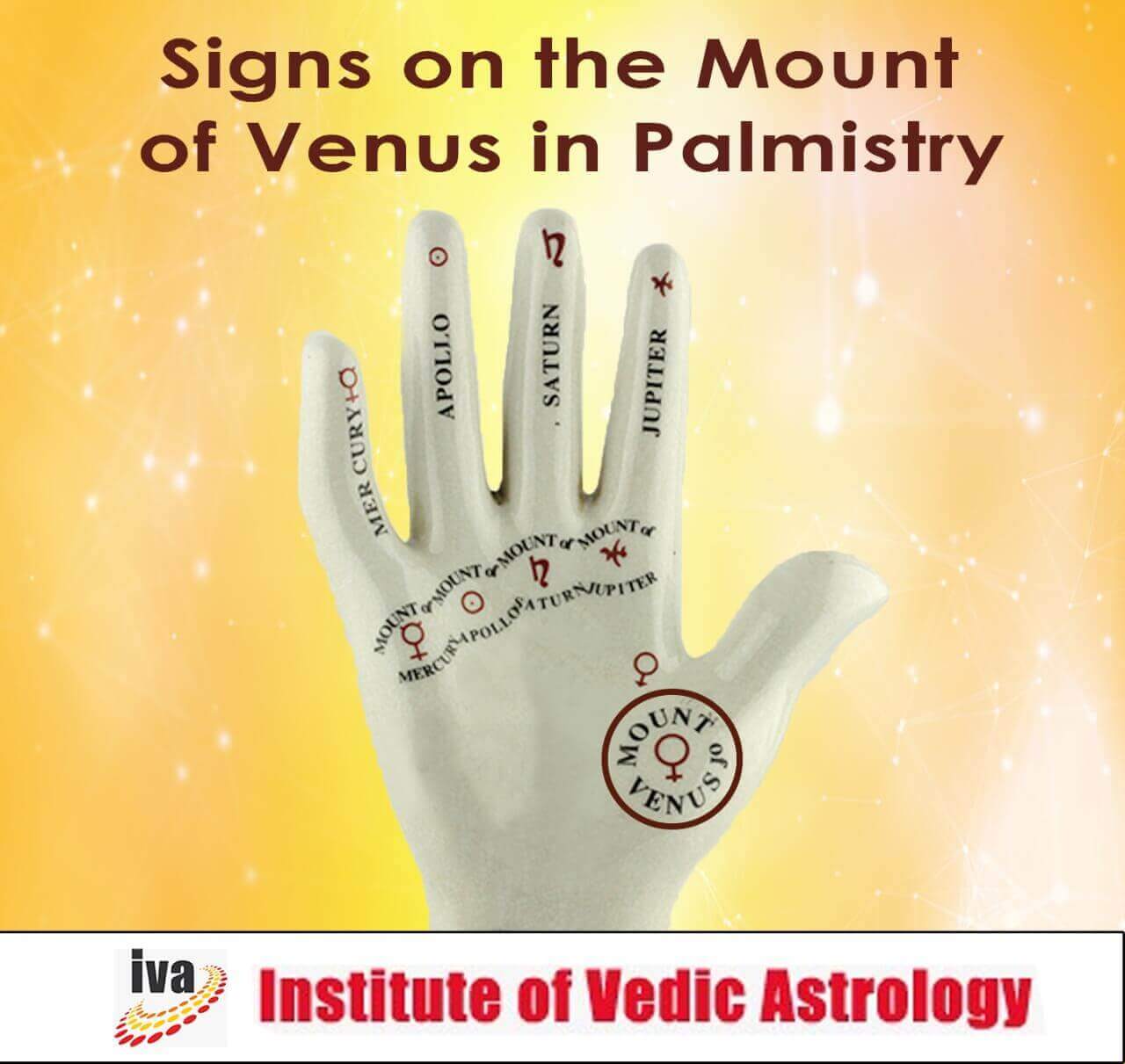 Signs on mount of Venus palmistry