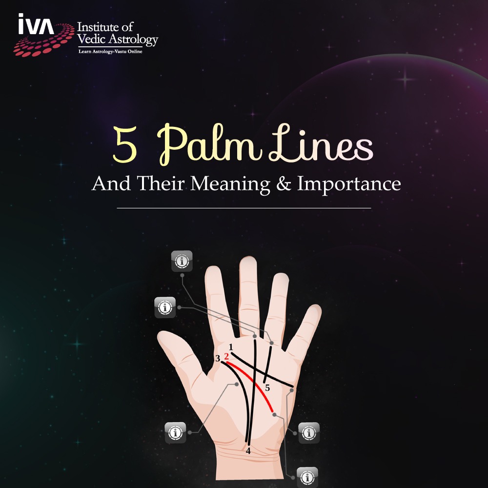 5 Palm Lines and Their Meaning and Importance
