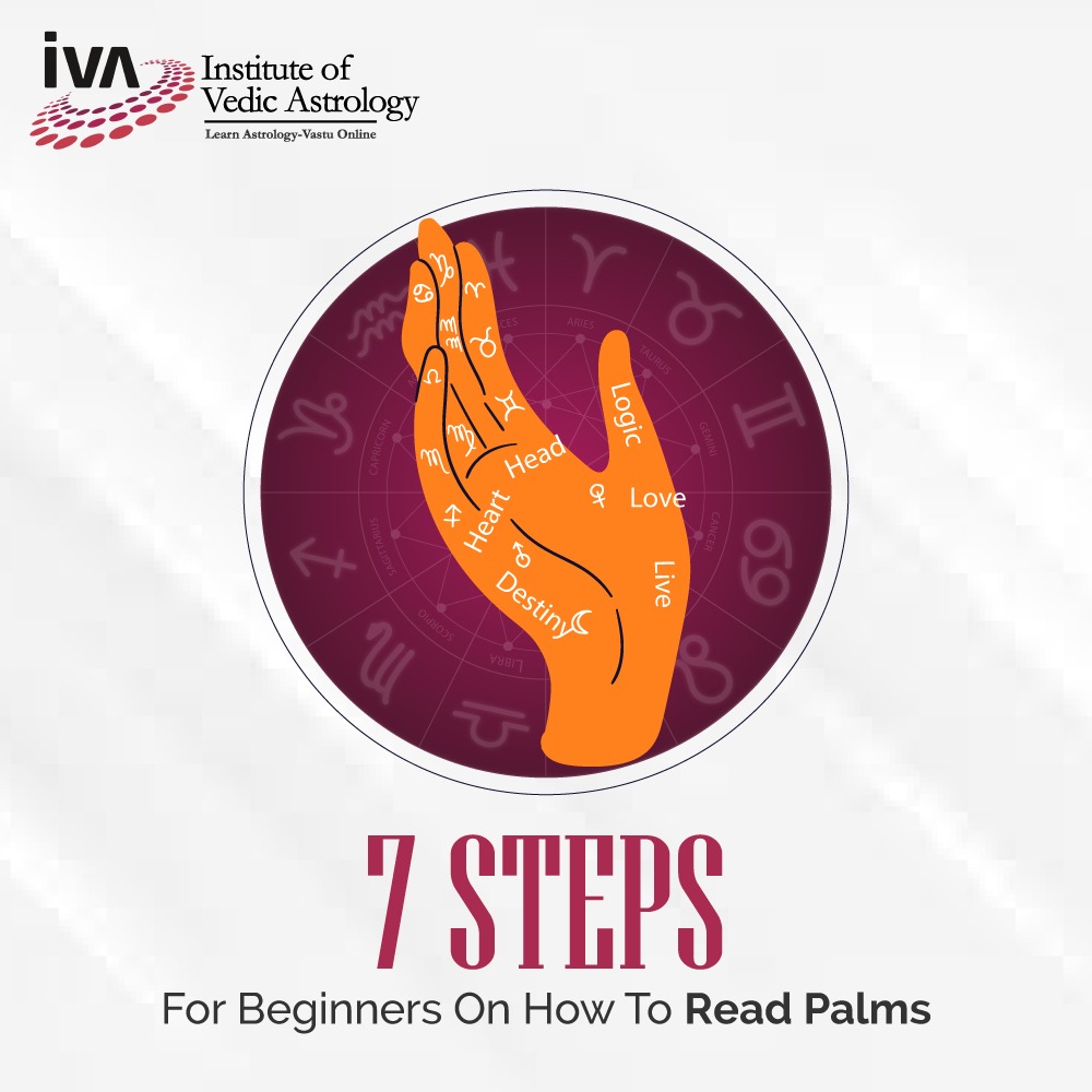 7 Steps For Beginners On How To Read Palms