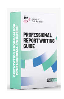 Professional Report Writing Guide